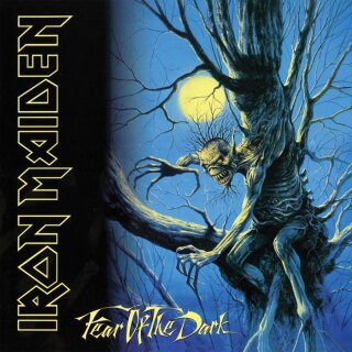 IRON MAIDEN -- Fear of the Dark  DLP  BLACK VINYL