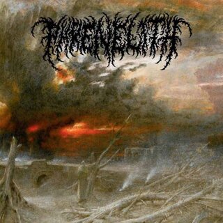 PHRENELITH -- Desolate Endscape  LP  BLACK