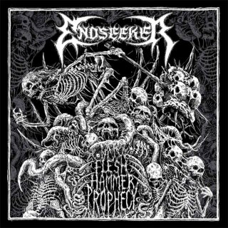 ENDSEEKER -- Flesh Hammer Prophecy  CD