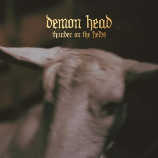 DEMON HEAD -- Thunder On the Fields  LP