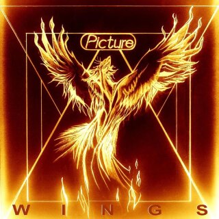 PICTURE -- Wings  LP