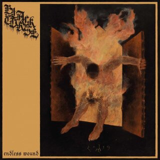 BLACK CURSE -- Endless Wound  CD DIGI