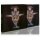 PROTECTOR -- Misanthropy  SLIPCASE  CD  2020