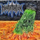 MORTIFICATION -- s/t  LP  ORANGE