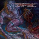 MISERY -- On Demon Wings  CD