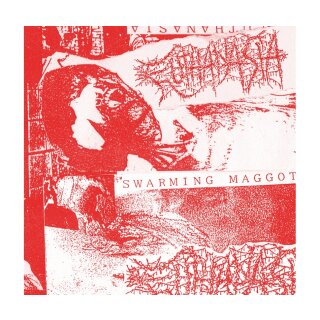 EUTHANASIA -- Discography 1992 - 1993 CD