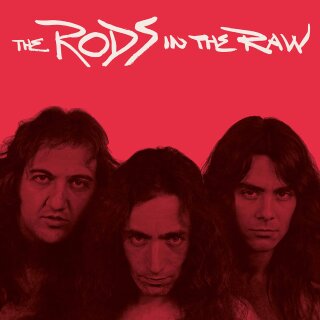 THE RODS -- In the Raw  POSTER