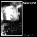 FUDGE TUNNEL -- Hate Songs in E Minor  LP  FDR