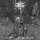 DARKTHRONE -- Circle the Wagons  CD