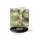 SIGH -- Shiki  LP  BLACK