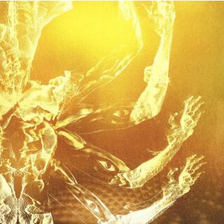 TOOL -- Fear Inoculum  3LP  BLACK