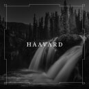 HAAVARD -- s/t  DLP  BLACK
