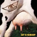 AEROSMITH -- Get a Grip  DLP