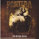 PANTERA -- Far Beyond Driven  DLP