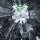 VEKTOR -- Outer Isolation  CD  LAST COPY