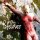 LIFELOVER -- Pulver  CD  JEWELCASE