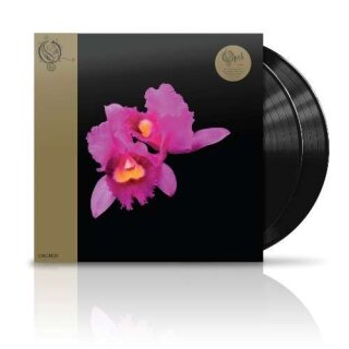 OPETH -- Orchid  DLP  BLACK