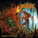 MORTIFICATION -- Erasing the Goblin  LP