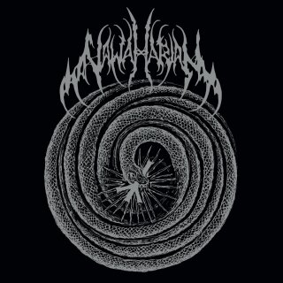 NAWAHARJAN -- Into the Void  LP  BLACK