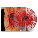 DISMEMBER -- Indecent & Obscene  LP  SPLATTER