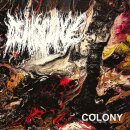 DEHISCENCE -- Colony  MLP  BLACK