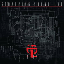 STRAPPING YOUNG LAD -- City  DLP  SPLATTER