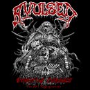 AVULSED -- Vomiting Corpses - The 90s Regurgitations  4CD...