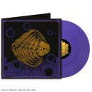 TORTUGA -- Iterations  LP  PURPLE