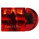 CHILDREN OF BODOM -- A Chapter Called Children of Bodom...