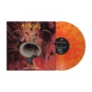 MIDNIGHT -- Hellish Expectations  LP  ORANGE / RED SPLATTER