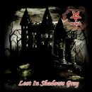 MORGUL -- Lost in Shadows Grey  LP  RED