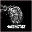 BOUNDLESS CHAOS / IDLE RUIN -- Malefactors  MLP  MARBLED