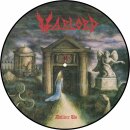 WARLORD -- Deliver Us  PICTURE  LP