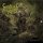 CARDIAC ARREST -- The Stench of Eternity  CD