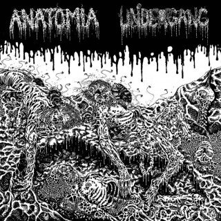 UNDERGANG / ANATOMIA -- Split  LP  BLACK