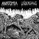 UNDERGANG / ANATOMIA -- Split  LP  BLACK