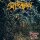 SUFFOCATION -- Pierced from Within  LP  SPLATTER