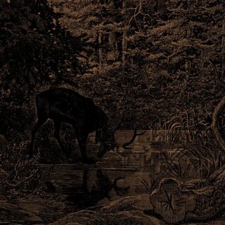AGALLOCH -- Of Stone, Wind, & Pillor  LP  LIQUID AMBER