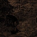 AGALLOCH -- Of Stone, Wind, & Pillor  LP  LIQUID AMBER