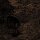 AGALLOCH -- Of Stone, Wind, & Pillor  LP  LIQUID AMBER