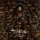NOKTURNAL -- Shades of Night  LP  OXBLOOD / BLACK MERGE