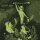 GRENDELS  SYSTER -- Katabasis into the Abaton  LP  SWAMP GREEN