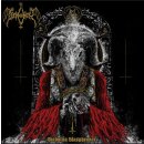 DEMONCY -- Diabolica Blasphemiae  MLP  BI-COL SPLATTER