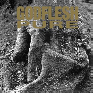 GODFLESH -- Pure  LP