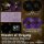 THEATRE OF TRAGEDY -- Velvet Darkness They Fear  DLP  PURPLE BLACK SMOKE