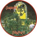 SLAUGHTER -- Strappado  LP  REMIX  PICTURE DISC