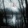 ENISUM -- Arpitanian Lands  CD  JEWELCASE
