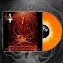 MYSTIFIER -- Demystifying the Mystified Ones ...  LP...