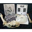 NADRA -- Allir Vegir Til Glötunar  LP  WHITE / GREY...