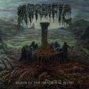 MORBIFIC -- Bloom of the Abnormal Flesh  LP  BLACK